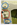 upload_2024-1-8_14-0-44.png