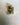 IMG_5123.jpeg