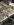 IMG_4650.jpeg
