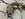 IMG_8439.jpeg