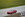 IMG_4598.jpeg