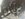 IMG_0872.jpeg