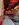 IMG_7572.jpeg