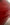 IMG_7593.jpeg