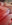 IMG_7592.jpeg