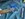 IMG_7504.jpeg