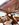48522123-32AE-47DF-9E89-3FE62BEDE878.jpeg