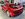 IMG_0629.jpeg