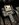 IMG_7936.jpeg