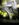 IMG_0379.jpeg