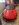IMG_2392.jpeg