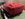 IMG_0618.JPEG