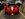 IMG_1990 3.jpeg