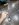20241126_175039.jpeg