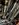 IMG_8200.jpeg
