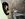 IMG_2032.jpeg