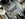 IMG_0137.jpeg