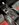 IMG_1285.jpeg
