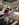 IMG_0075.jpeg