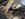 IMG_4470.jpeg