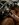 IMG_0679.jpeg