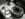 upload_2025-3-19_18-8-56.png