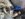 IMG_0817.jpeg