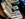 IMG_0893.jpeg