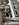 IMG_3069.jpeg