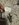 IMG_1210.jpeg