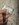 IMG_1213.jpeg