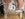 IMG_4784.jpeg
