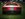 IMG_4691.jpeg