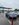 IMG_5152.jpeg