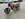 IMG_0369.jpeg