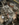 upload_2025-6-26_22-31-42.png