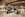 495628289_1274334934331193_123274449657387173_n.jpg