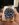 IMG_2698.jpeg
