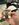 IMG_2697.jpeg