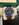 IMG_2695.jpeg