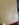 IMG_3150.jpeg