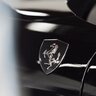 Cavallino Nero Rampante