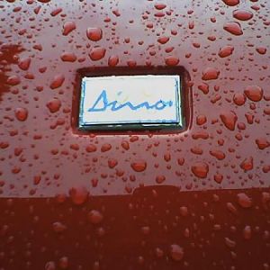 wet nose badge