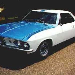 Yenko Stinger