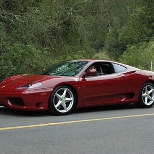 Such a beauty.  Driving here in Chabot Park in the Redwood Regional Park in the San Francisco East Bay Area.