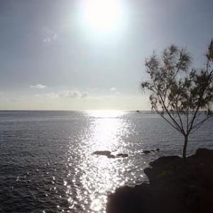 scenic1a