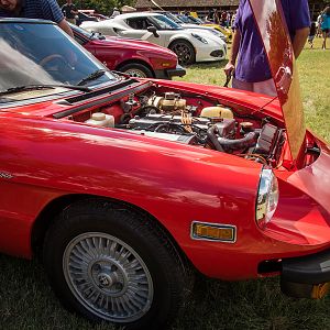 '81 Alfa Romeo Spider Veloce // Owner: Dave Chapman