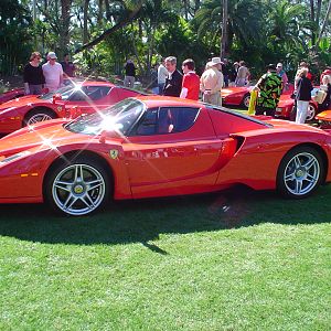 Cavallino 2004 (12)