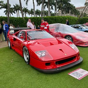 95449 Palm Beach