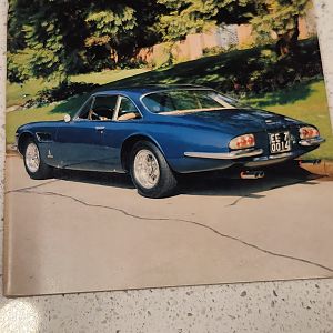 cavallino